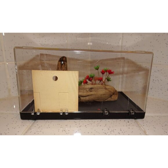 Vintage Craft Wood Original Creations Desert Scene Diorama horse cactus wood - Picture 10 of 16